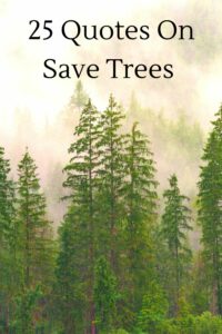 Quotes On Save Trees