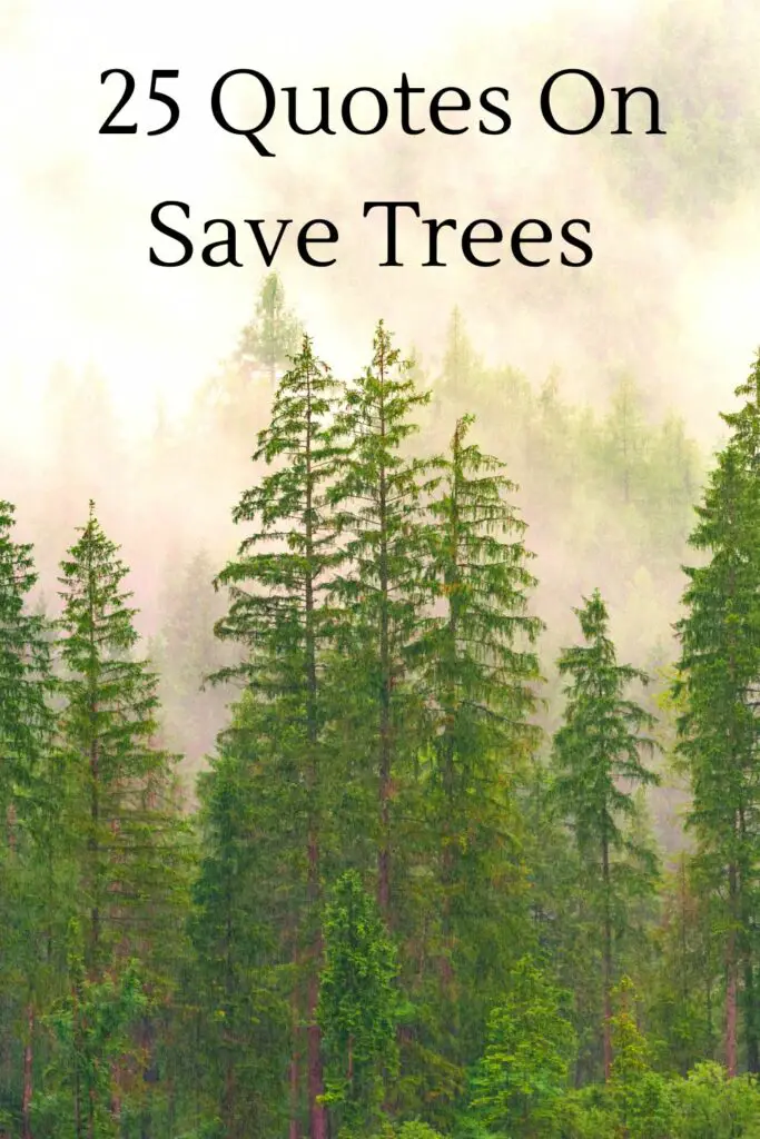 25 Quotes on Save Trees
