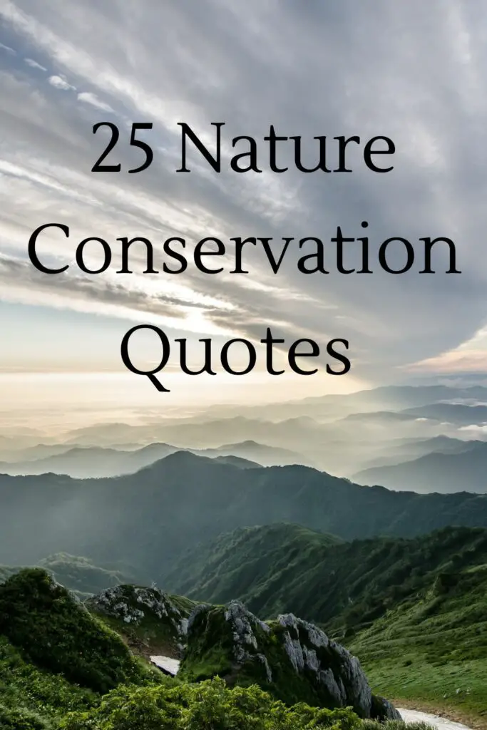 25 Nature Conservation Quotes 