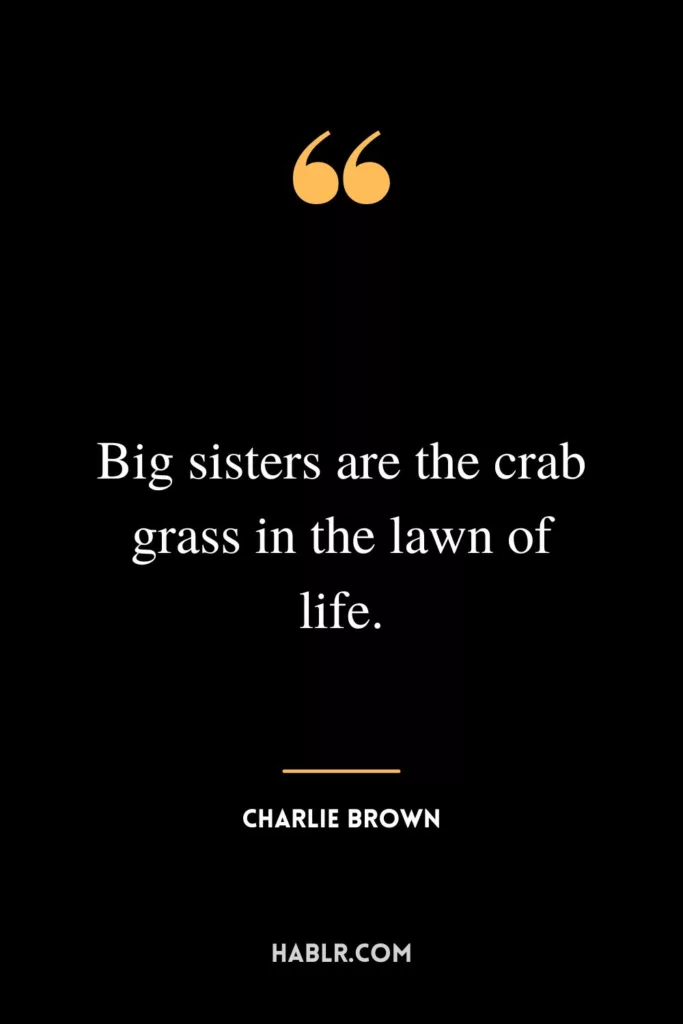 Big sisters are the crab grass in the lawn of life.