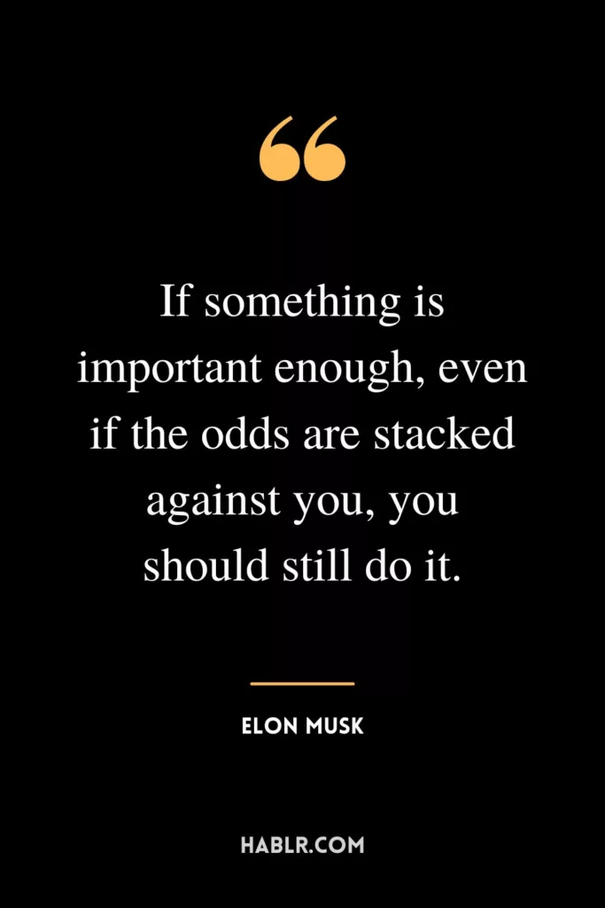 If something is important enough, even if the odds are stacked against you, you should still do it.