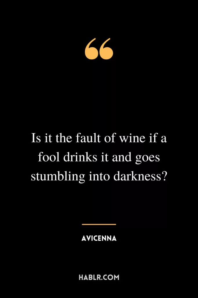 Is it the fault of wine if a fool drinks it and goes stumbling into darkness?