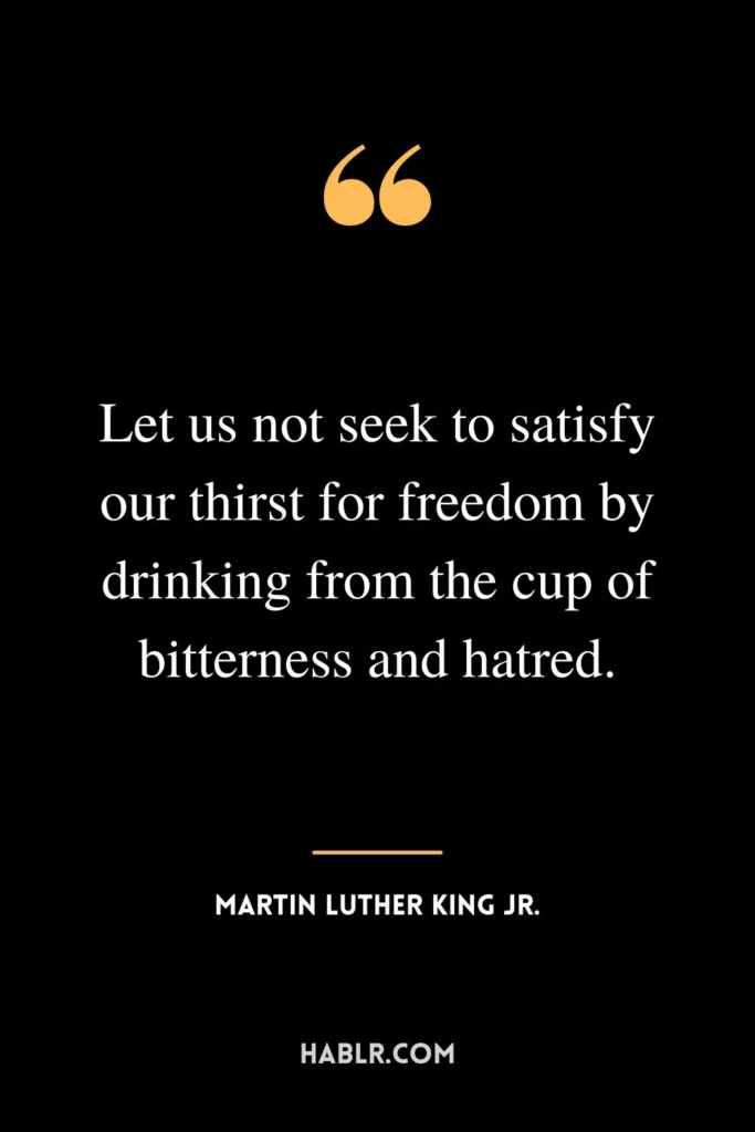 Let us not seek to satisfy our thirst for freedom by drinking from the cup of bitterness and hatred