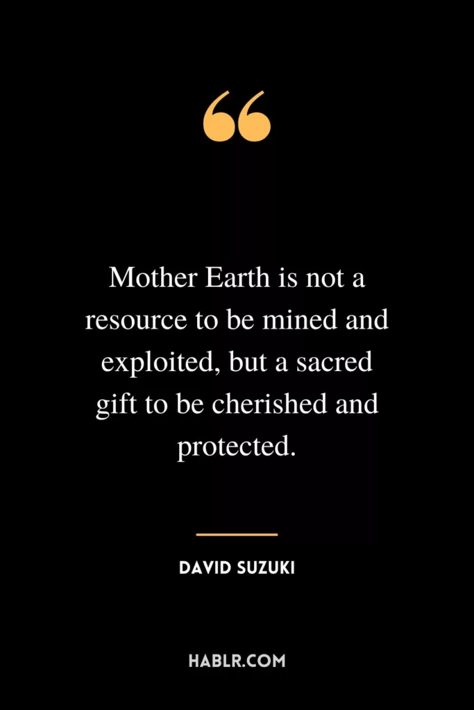 Mother Earth is not a resource to be mined and exploited, but a sacred gift to be cherished and protected.