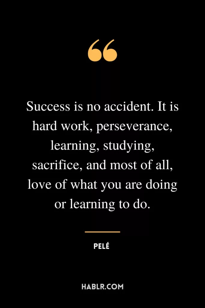Success is no accident. It is hard work, perseverance, learning, studying, sacrifice, and most of all, love of what you are doing or learning to do.
