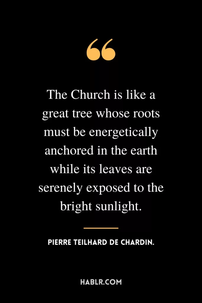 The Church is like a great tree whose roots must be energetically anchored in the earth while its leaves are serenely exposed to the bright sunlight.