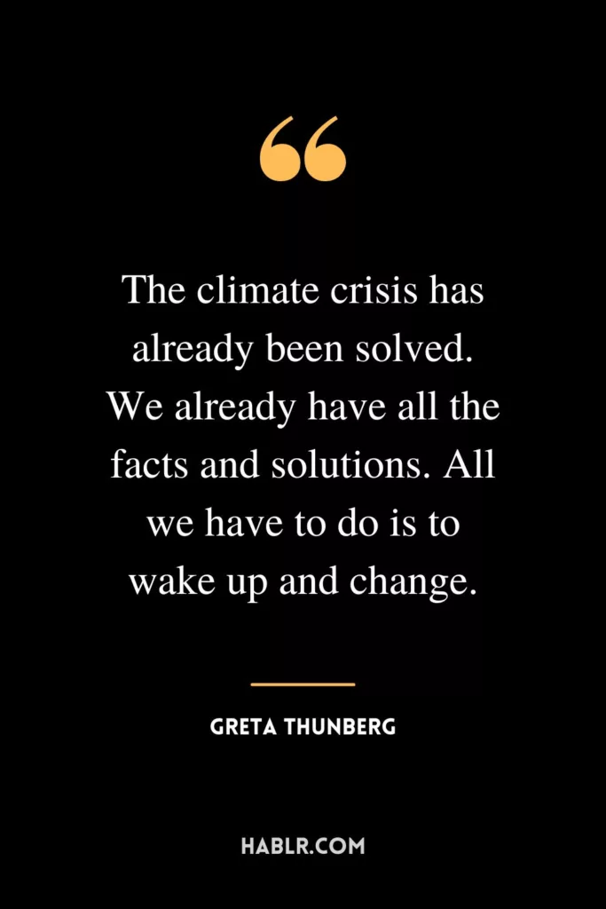 The climate crisis has already been solved. We already have all the facts and solutions. All we have to do is to wake up and change.