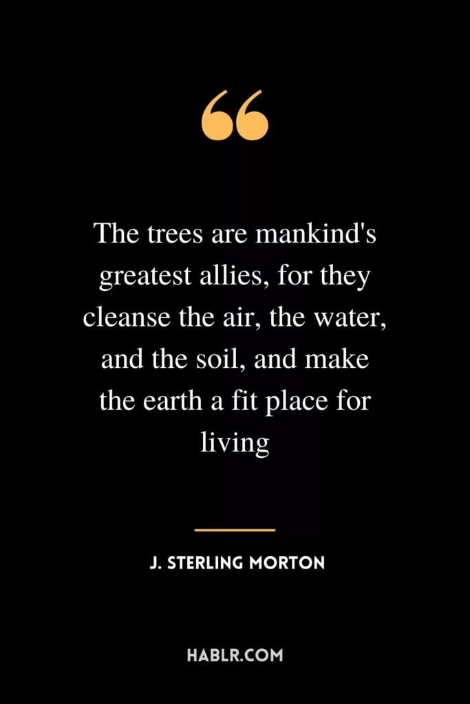 The trees are mankind's greatest allies, for they cleanse the air, the water, and the soil, and make the earth a fit place for living