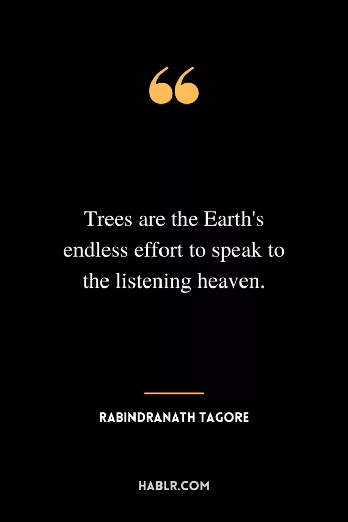 Trees are the Earth's endless effort to speak to the listening heaven.