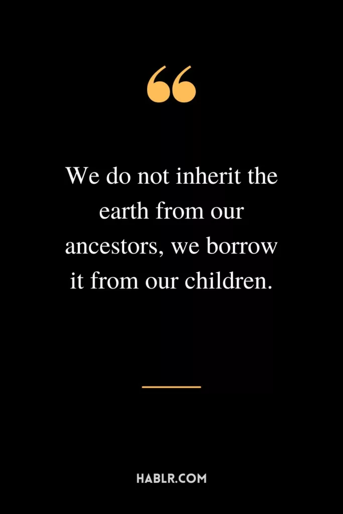We do not inherit the earth from our ancestors, we borrow it from our children.
