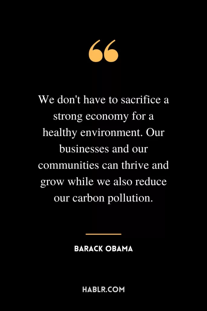 We don't have to sacrifice a strong economy for a healthy environment. Our businesses and our communities can thrive and grow while we also reduce our carbon pollution.