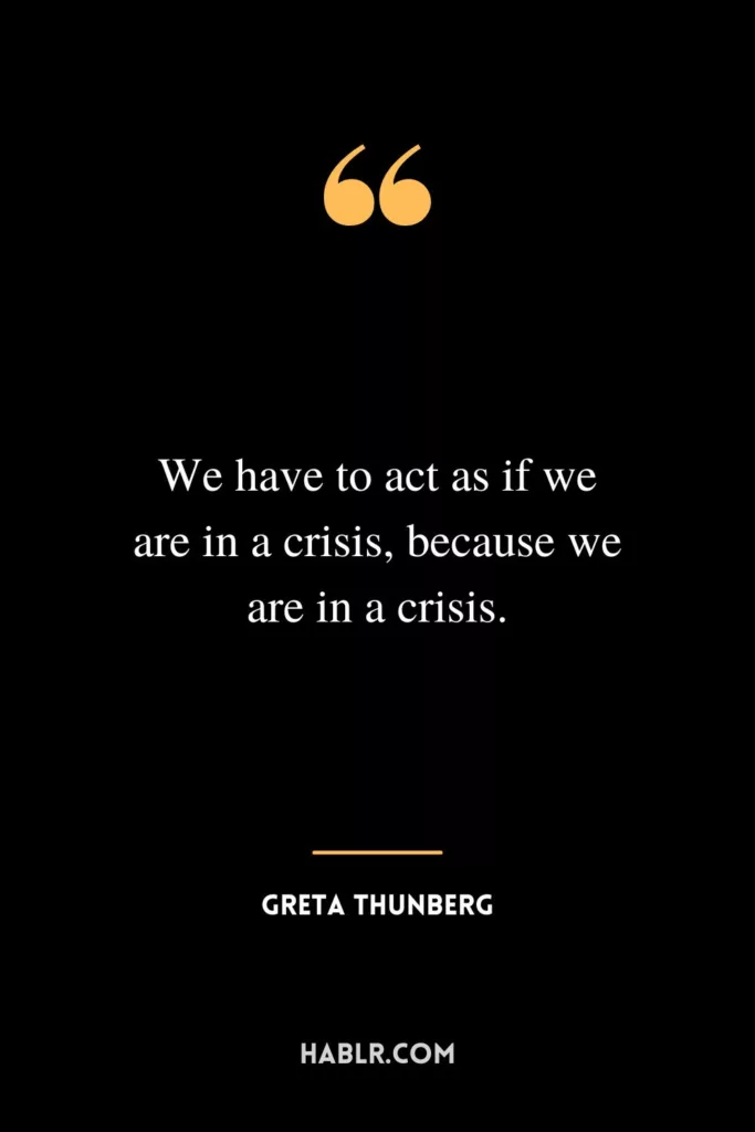 We have to act as if we are in a crisis, because we are in a crisis.