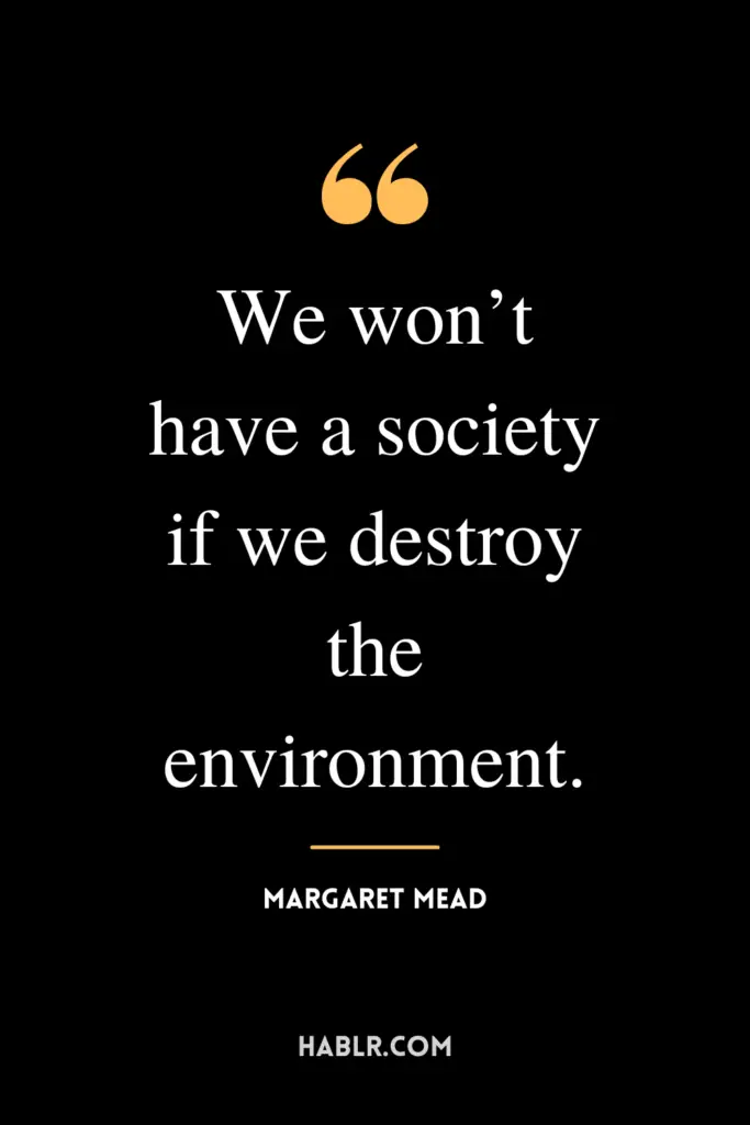 “We won’t have a society if we destroy the environment.”- Margaret Mead