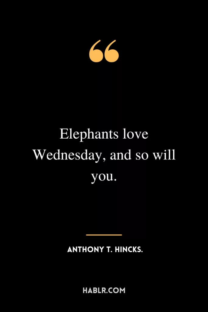 Elephants love Wednesday, and so will you.