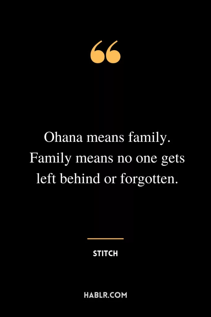 Ohana means family. Family means no one gets left behind or forgotten.