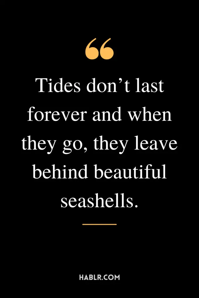 "Tides don’t last forever and when they go, they leave behind beautiful seashells."