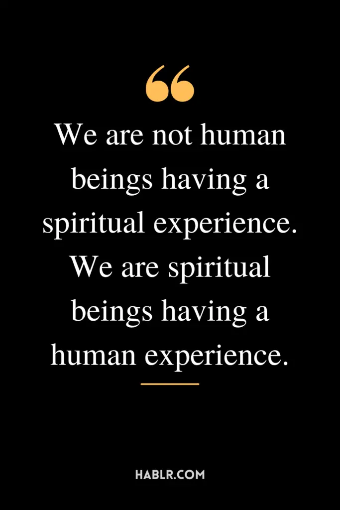 "We are not human beings having a spiritual experience. We are spiritual beings having a human experience."
