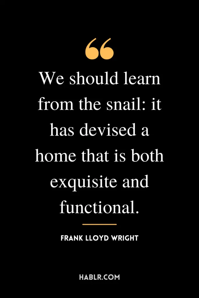 “We should learn from the snail: it has devised a home that is both exquisite and functional.” -Frank Lloyd Wright